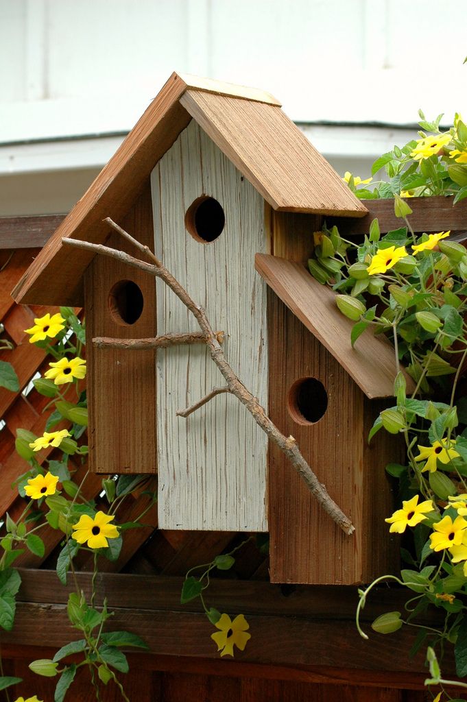 bird-house-12