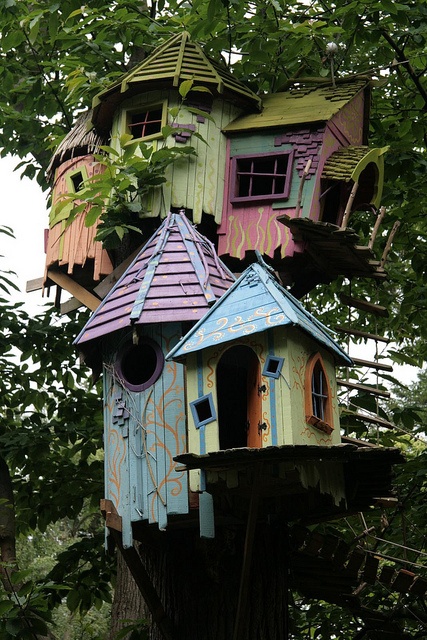 bird-house-3