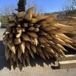 Estaca de madera de acacia con punta