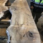 Tablón sin cantear de olmo - tapa de mesa encimera de madera - tronco de olmo - rodaja de madera - madera con corteza 355
