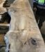 Tablón sin cantear de olmo - tapa de mesa encimera de madera - tronco de olmo - rodaja de madera - madera con corteza 355