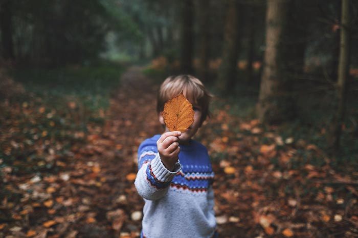 La solución al cambio climático es la madera - annie-spratt-unsplash