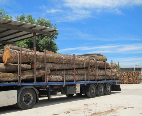 troncos de madera