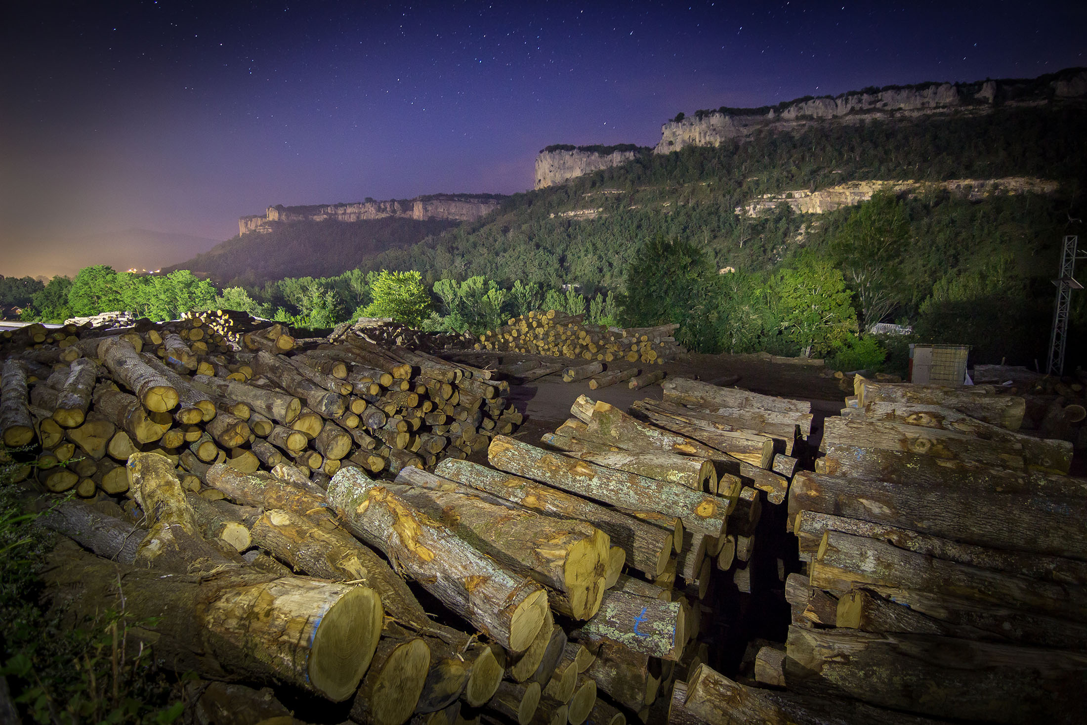 troncos de madera cortados-gestión-forestal-sostenible