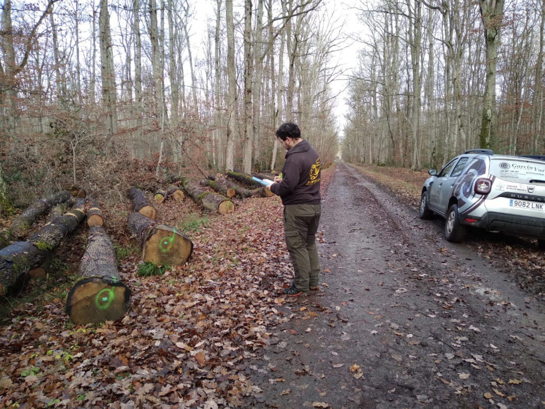 Trabajamos de manera sostenible, cumpliendo con el certificado PEFC y garantizando el desarrollo y transformación eficiente de los bosques y de los recursos que nos proporcionan.