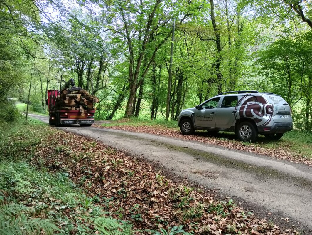 Nuestra empresa de madera tiene camiones propios para transportar del bosque al aserradero, de la fabrica al domicilio del cliente
