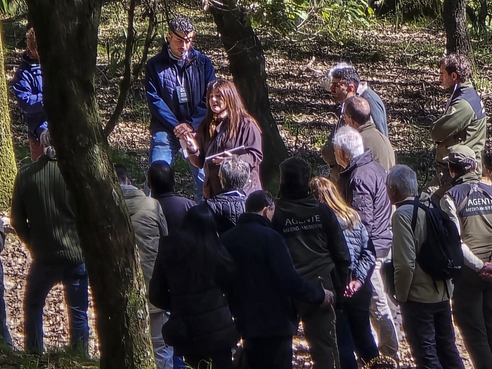Jornadas de Valorización del Quejigo (Quercus canariensis): El Futuro del Monte y la Industria Forestal